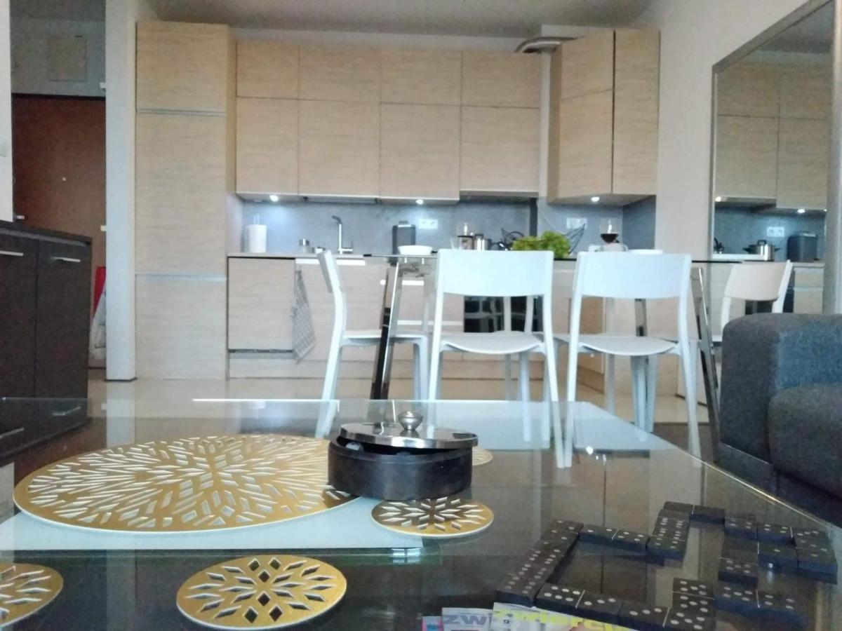 Sunny Penthouse With Roof Gardens Overlooking The Warsaw Palace Of Culture ปรุชโคฟ ภายนอก รูปภาพ