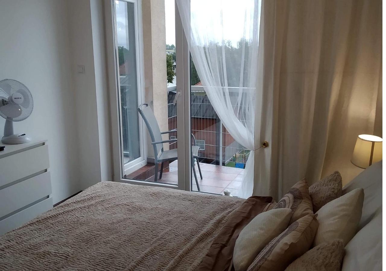 Sunny Penthouse With Roof Gardens Overlooking The Warsaw Palace Of Culture ปรุชโคฟ ภายนอก รูปภาพ