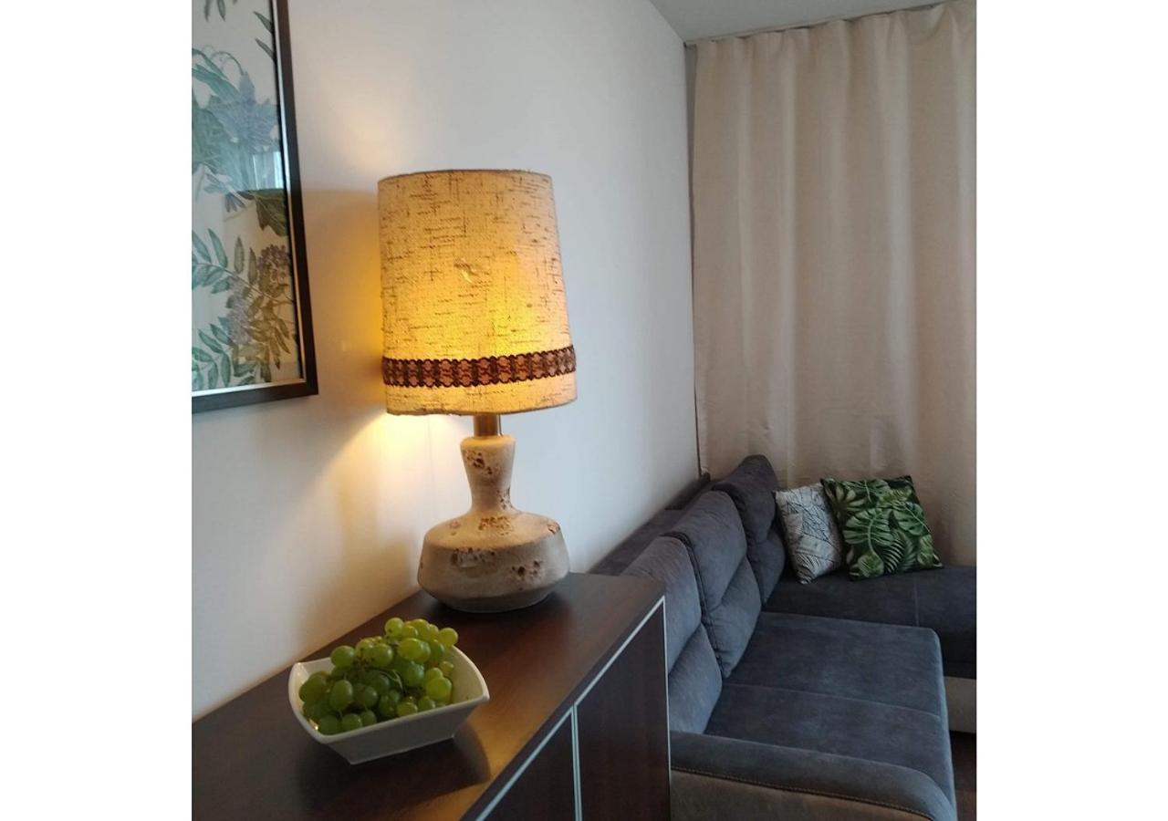 Sunny Penthouse With Roof Gardens Overlooking The Warsaw Palace Of Culture ปรุชโคฟ ภายนอก รูปภาพ